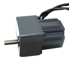 New High Efficiency 12V 24V 36V 48V DC Brushless Gear Motor